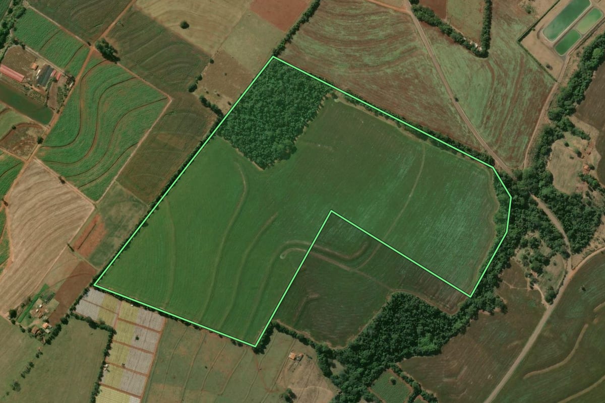 Imagem de satélite do imóvel rural em Óleo (SP), com o contorno declarado no CAR desenhado por cima.