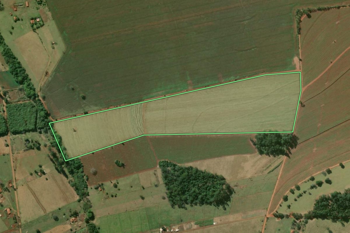 Imagem de satélite do imóvel rural em Óleo (SP), com o contorno declarado no CAR desenhado por cima.