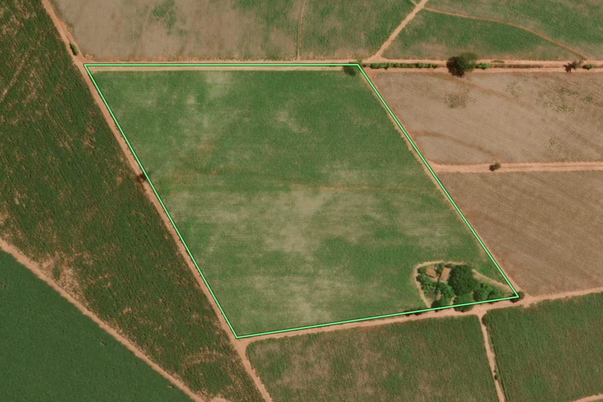 Imagem de satélite do imóvel rural em Olímpia (SP), com o contorno declarado no CAR desenhado por cima.
