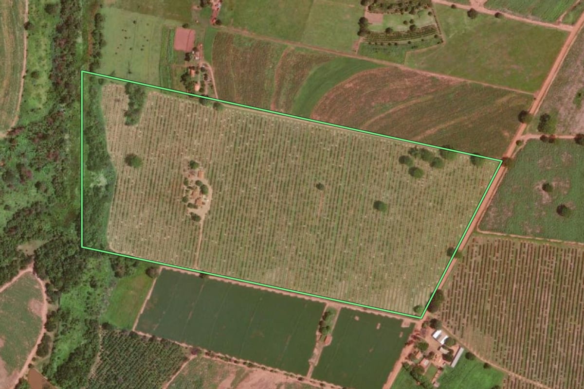 Imagem de satélite do imóvel rural em Olímpia (SP), com o contorno declarado no CAR desenhado por cima.