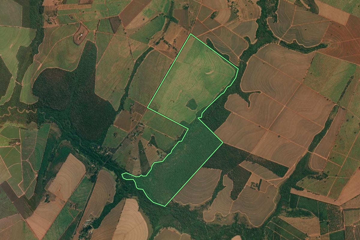Imagem de satélite do imóvel rural em Olímpia (SP), com o contorno declarado no CAR desenhado por cima.