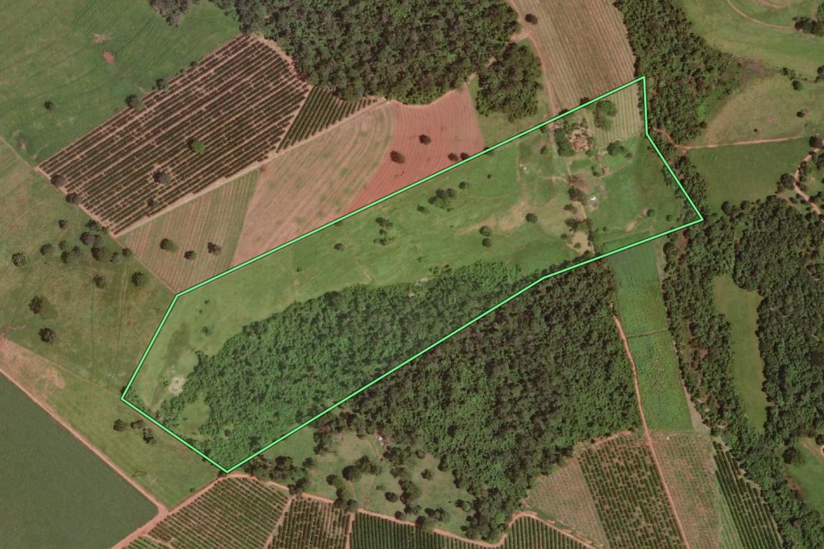 Imagem de satélite do imóvel rural em Olímpia (SP), com o contorno declarado no CAR desenhado por cima.