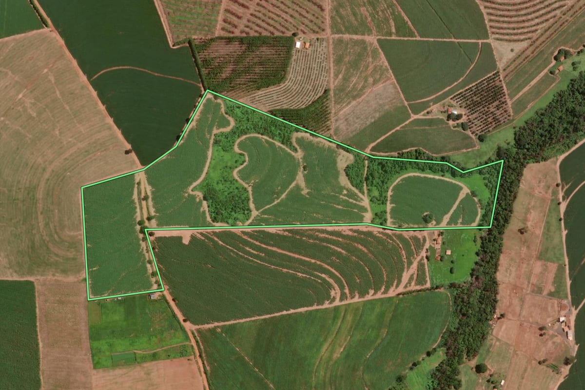 Imagem de satélite do imóvel rural em Olímpia (SP), com o contorno declarado no CAR desenhado por cima.