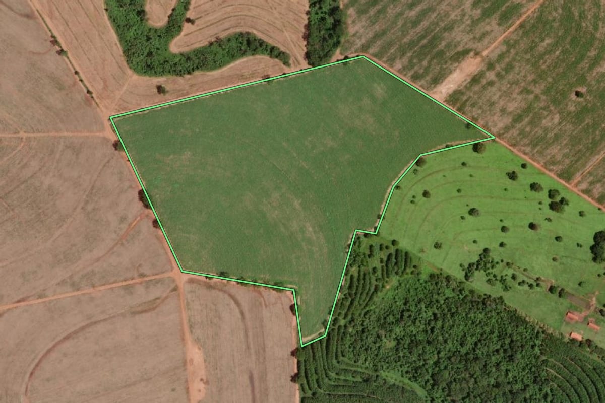 Imagem de satélite do imóvel rural em Olímpia (SP), com o contorno declarado no CAR desenhado por cima.