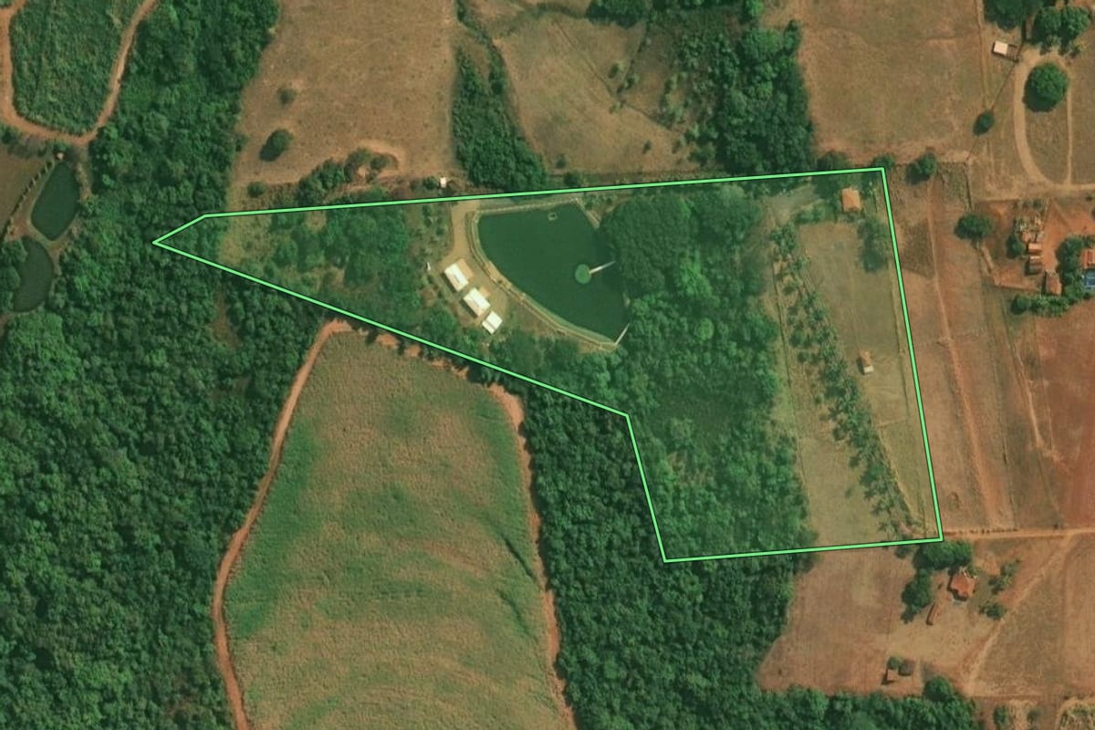 Imagem de satélite do imóvel rural em Olímpia (SP), com o contorno declarado no CAR desenhado por cima.
