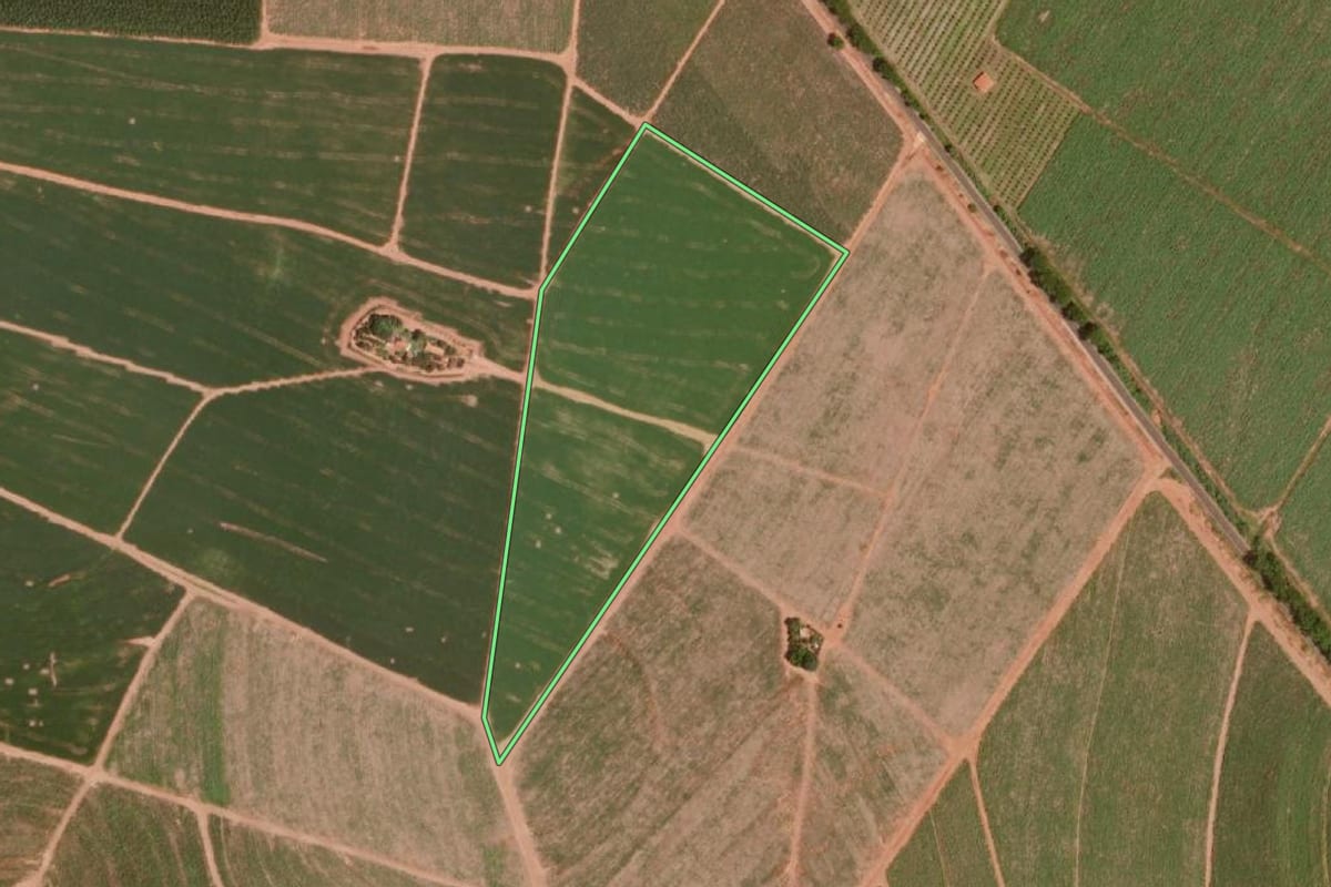 Imagem de satélite do imóvel rural em Olímpia (SP), com o contorno declarado no CAR desenhado por cima.
