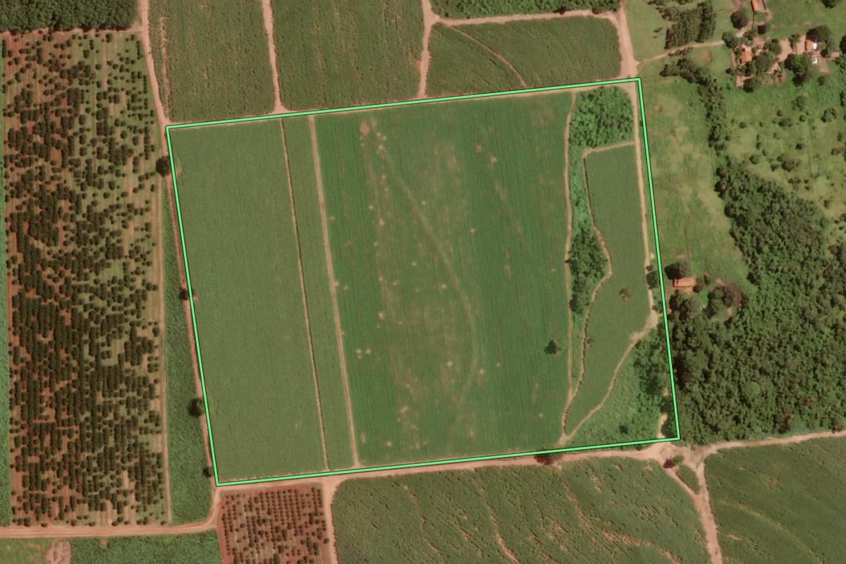 Imagem de satélite do imóvel rural em Olímpia (SP), com o contorno declarado no CAR desenhado por cima.
