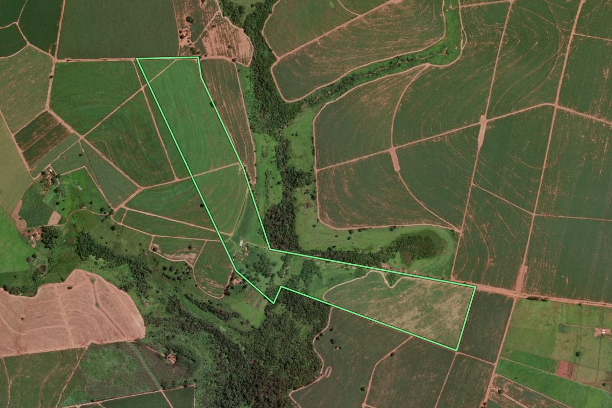 Imagem de satélite do imóvel rural em Olímpia (SP), com o contorno declarado no CAR desenhado por cima.
