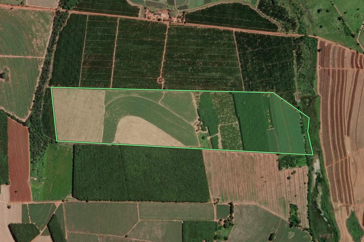 Imagem de satélite do imóvel rural em Olímpia (SP), com o contorno declarado no CAR desenhado por cima.