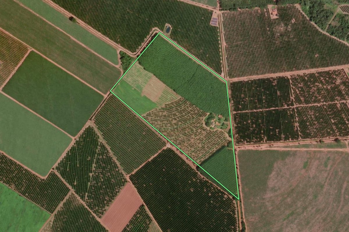 Imagem de satélite do imóvel rural em Olímpia (SP), com o contorno declarado no CAR desenhado por cima.