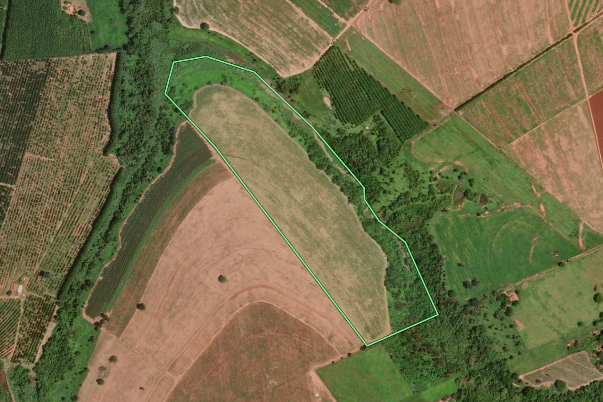 Imagem de satélite do imóvel rural em Olímpia (SP), com o contorno declarado no CAR desenhado por cima.