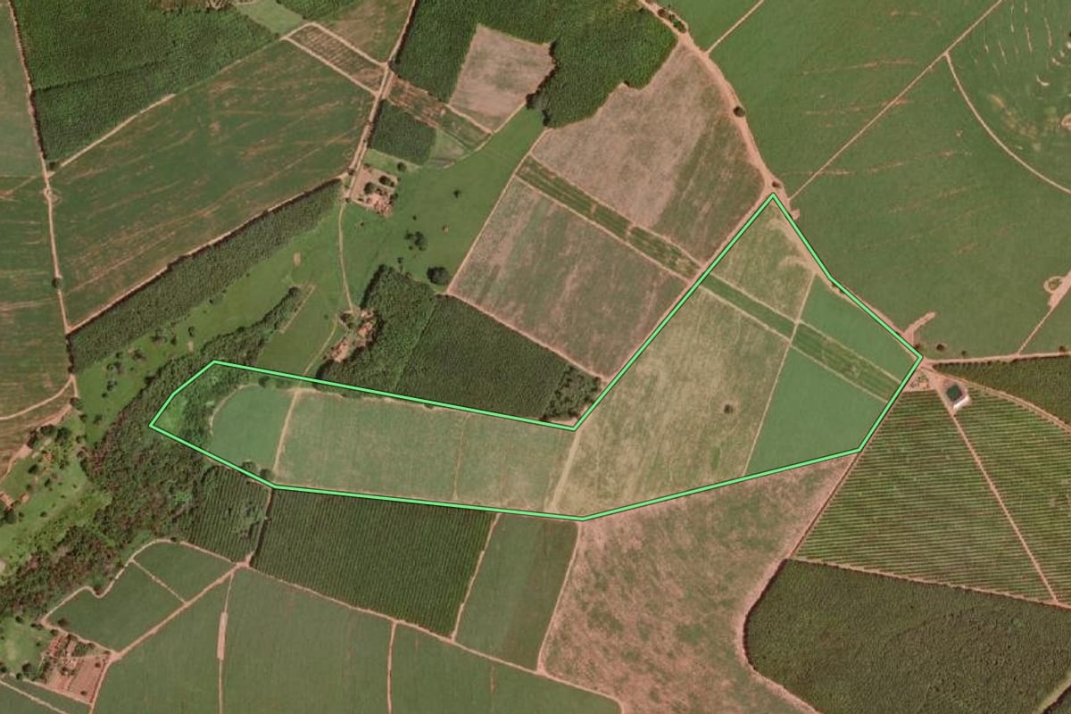 Imagem de satélite do imóvel rural em Olímpia (SP), com o contorno declarado no CAR desenhado por cima.