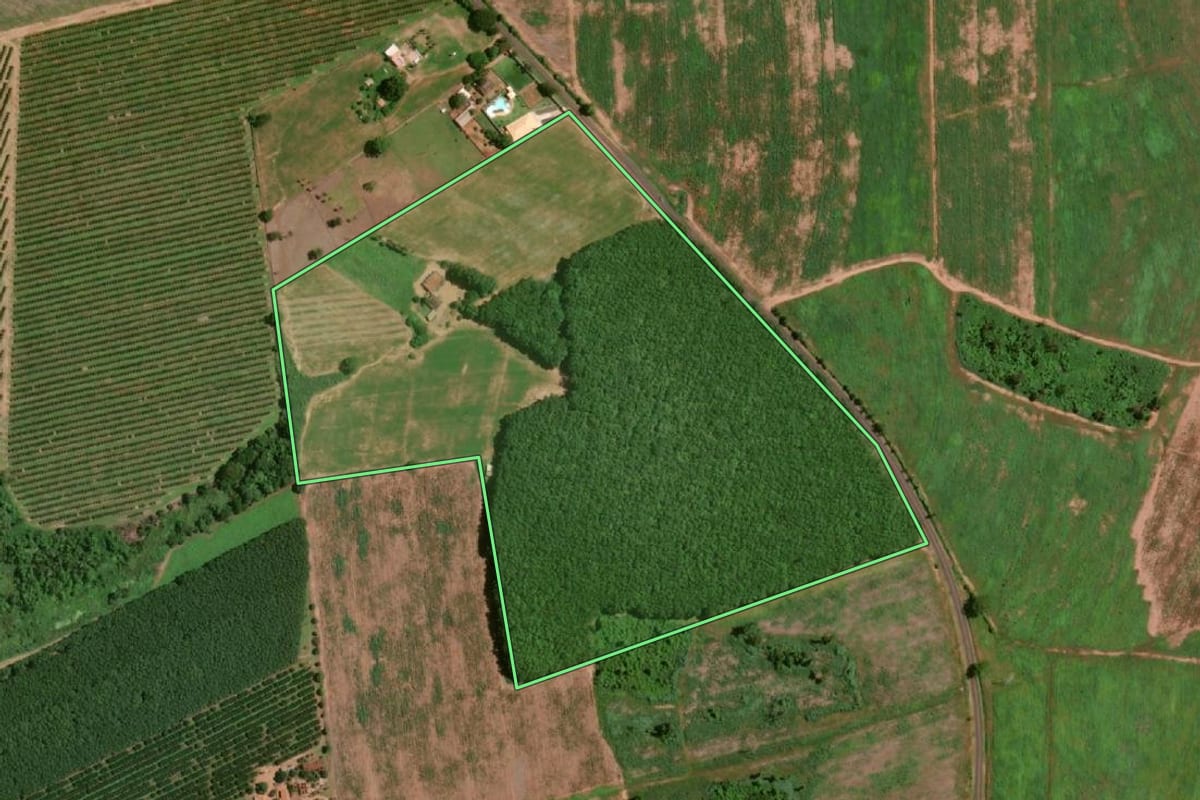 Imagem de satélite do imóvel rural em Olímpia (SP), com o contorno declarado no CAR desenhado por cima.