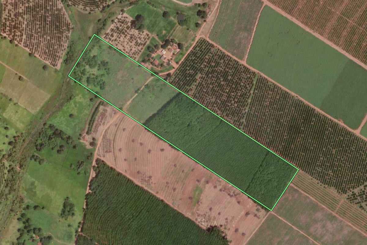Imagem de satélite do imóvel rural em Olímpia (SP), com o contorno declarado no CAR desenhado por cima.