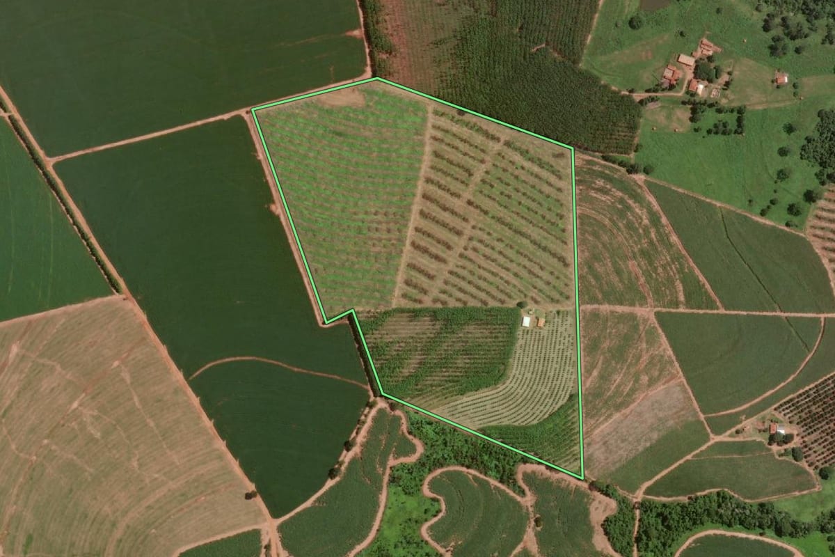 Imagem de satélite do imóvel rural em Olímpia (SP), com o contorno declarado no CAR desenhado por cima.