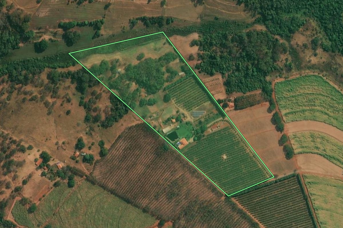 Imagem de satélite do imóvel rural em Olímpia (SP), com o contorno declarado no CAR desenhado por cima.