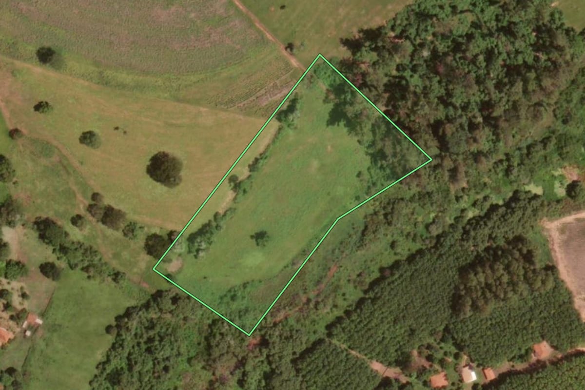 Imagem de satélite do imóvel rural em Olímpia (SP), com o contorno declarado no CAR desenhado por cima.