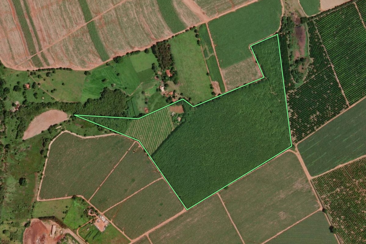 Imagem de satélite do imóvel rural em Olímpia (SP), com o contorno declarado no CAR desenhado por cima.