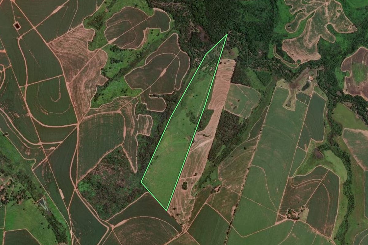 Imagem de satélite do imóvel rural em Olímpia (SP), com o contorno declarado no CAR desenhado por cima.