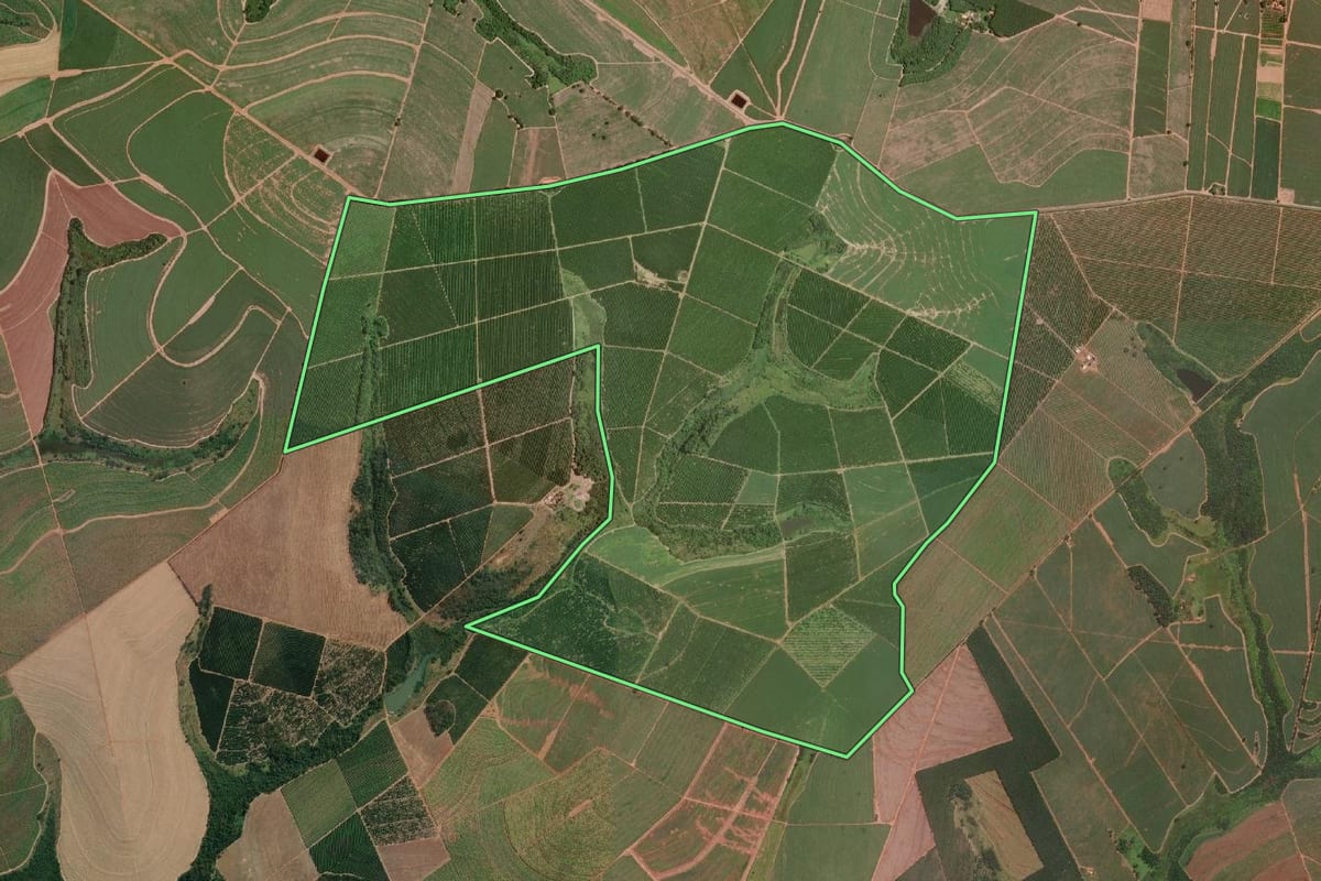 Imagem de satélite do imóvel rural em Olímpia (SP), com o contorno declarado no CAR desenhado por cima.