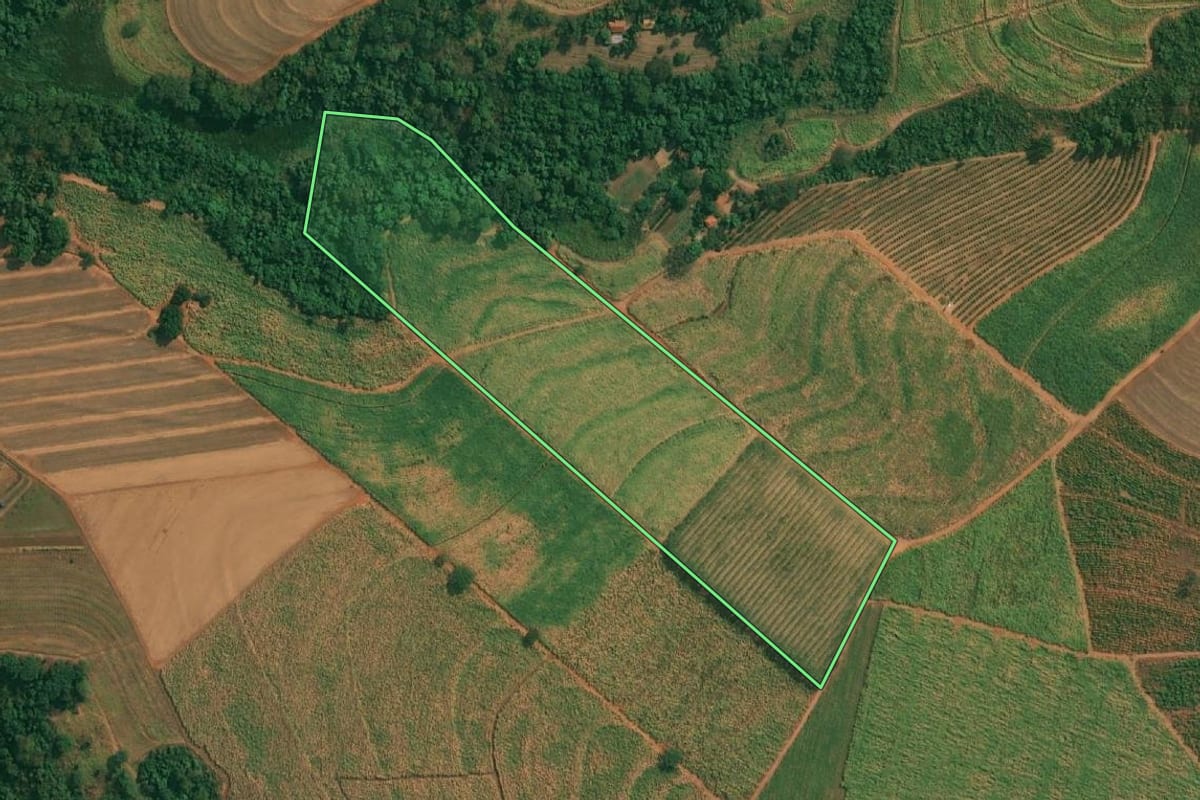 Imagem de satélite do imóvel rural em Olímpia (SP), com o contorno declarado no CAR desenhado por cima.