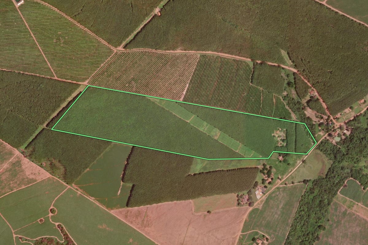 Imagem de satélite do imóvel rural em Olímpia (SP), com o contorno declarado no CAR desenhado por cima.