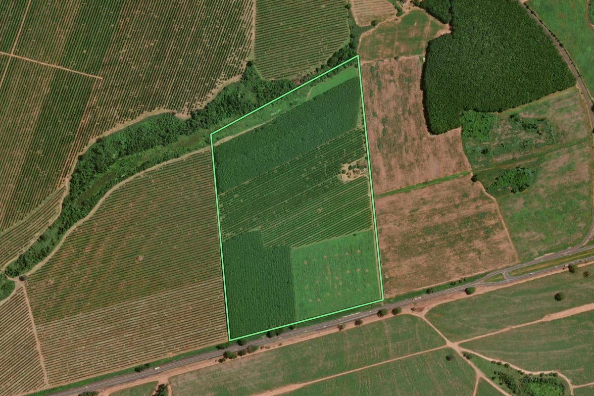 Imagem de satélite do imóvel rural em Olímpia (SP), com o contorno declarado no CAR desenhado por cima.