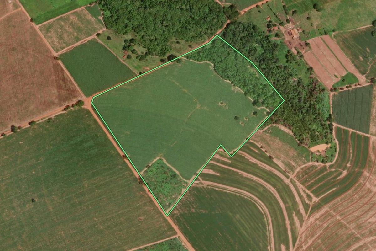 Imagem de satélite do imóvel rural em Olímpia (SP), com o contorno declarado no CAR desenhado por cima.