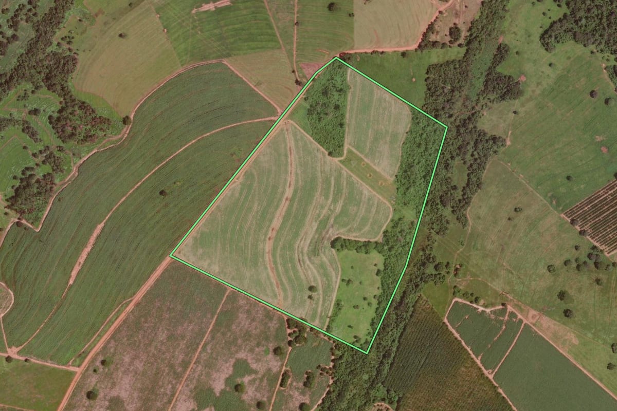 Imagem de satélite do imóvel rural em Olímpia (SP), com o contorno declarado no CAR desenhado por cima.