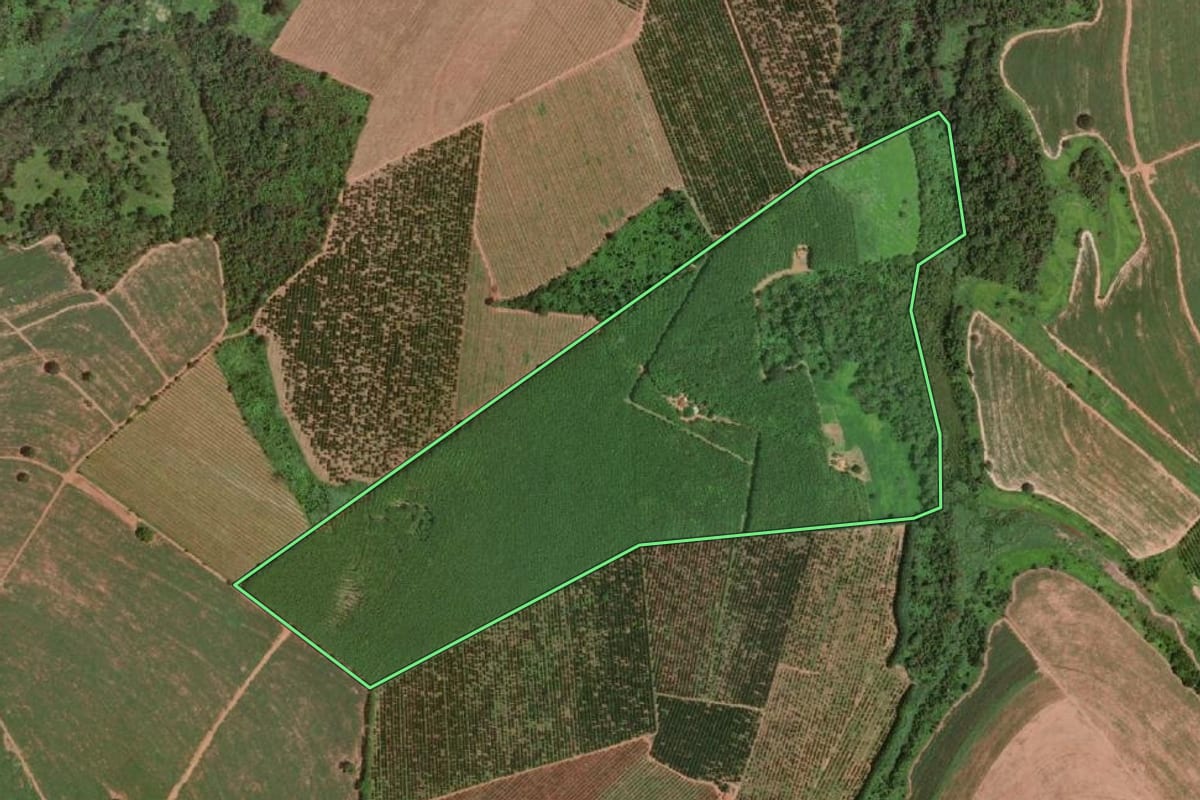 Imagem de satélite do imóvel rural em Olímpia (SP), com o contorno declarado no CAR desenhado por cima.