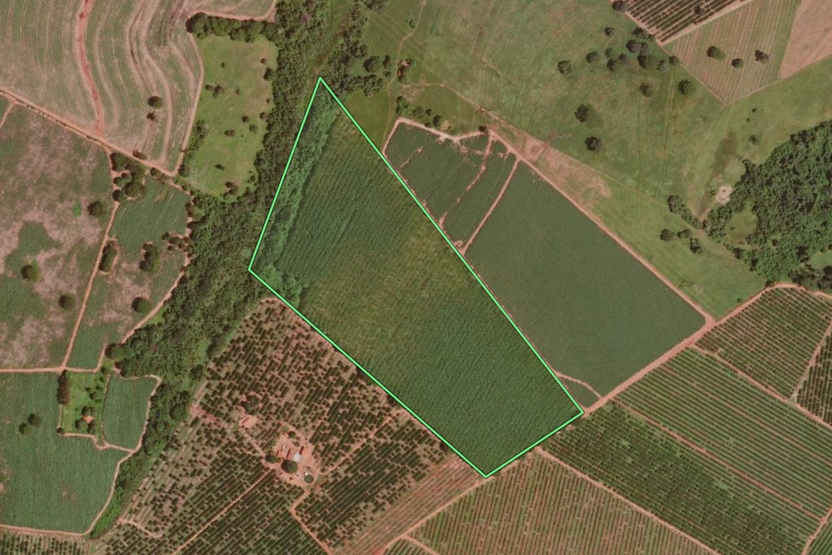 Imagem de satélite do imóvel rural em Olímpia (SP), com o contorno declarado no CAR desenhado por cima.