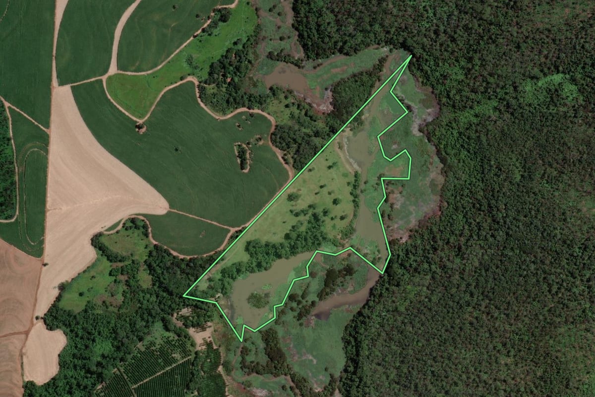 Imagem de satélite do imóvel rural em Olímpia (SP), com o contorno declarado no CAR desenhado por cima.