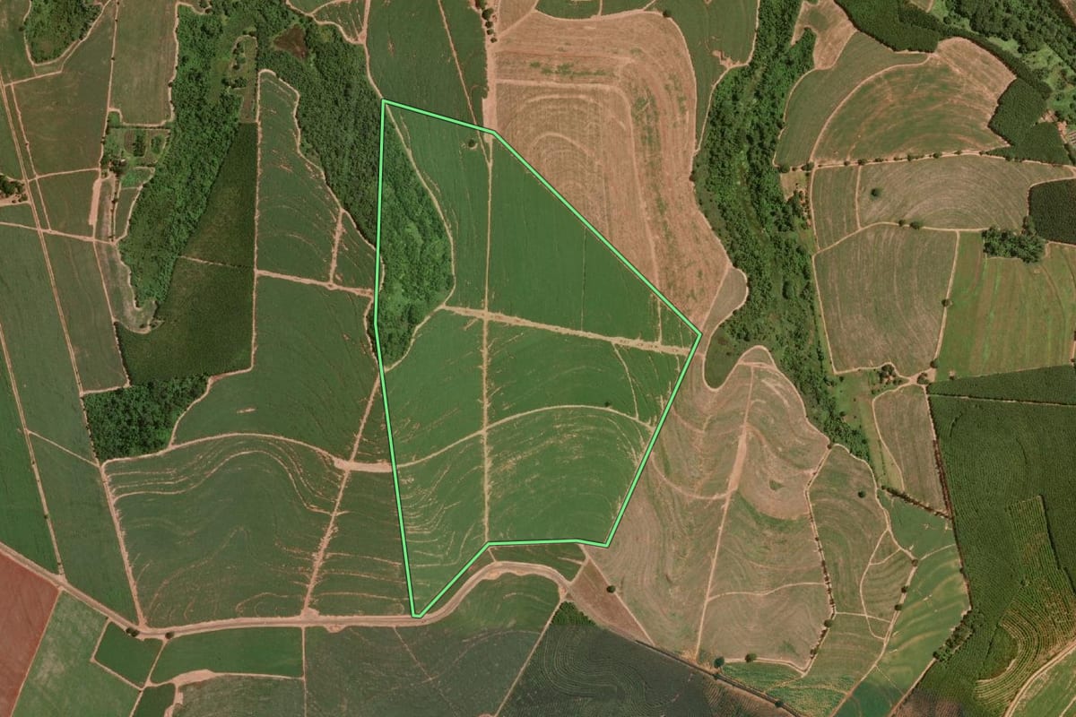 Imagem de satélite do imóvel rural em Olímpia (SP), com o contorno declarado no CAR desenhado por cima.