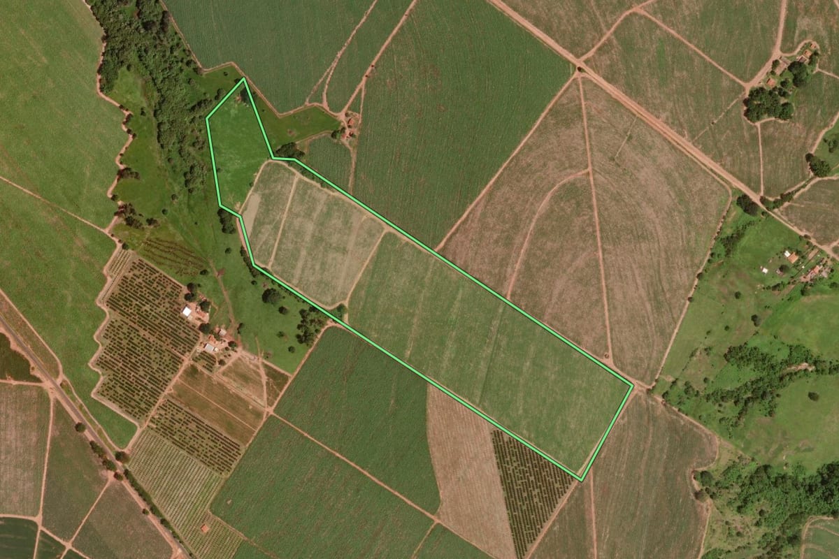 Imagem de satélite do imóvel rural em Olímpia (SP), com o contorno declarado no CAR desenhado por cima.