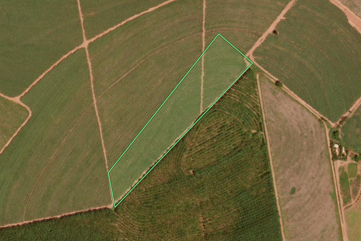 Imagem de satélite do imóvel rural em Olímpia (SP), com o contorno declarado no CAR desenhado por cima.