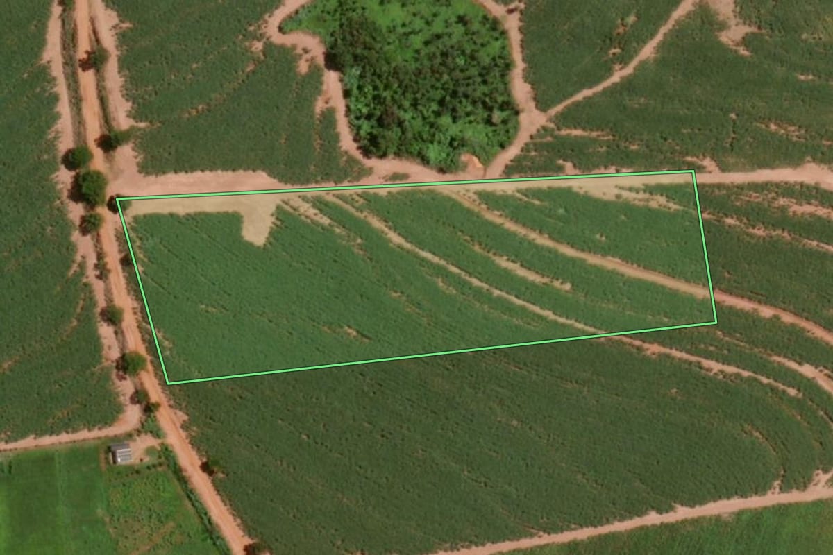 Imagem de satélite do imóvel rural em Olímpia (SP), com o contorno declarado no CAR desenhado por cima.