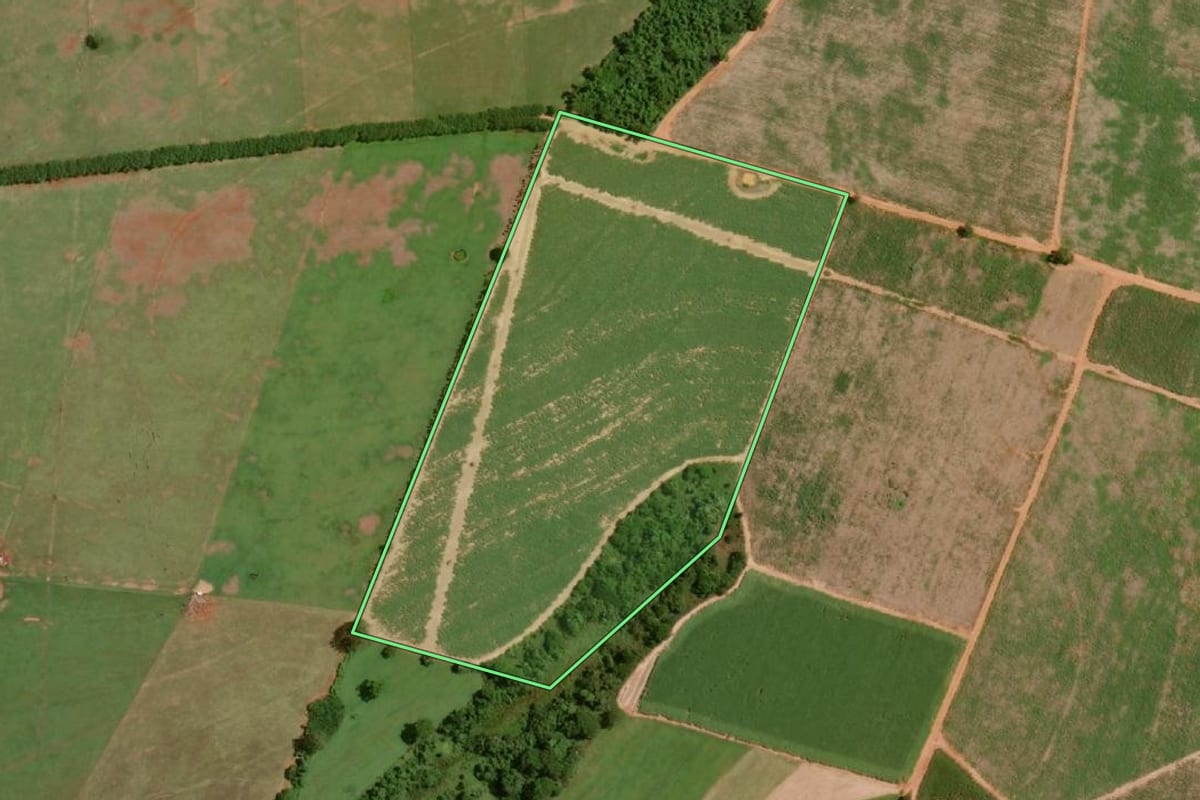 Imagem de satélite do imóvel rural em Olímpia (SP), com o contorno declarado no CAR desenhado por cima.