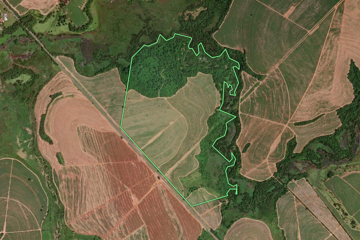 Imagem de satélite do imóvel rural em Olímpia (SP), com o contorno declarado no CAR desenhado por cima.