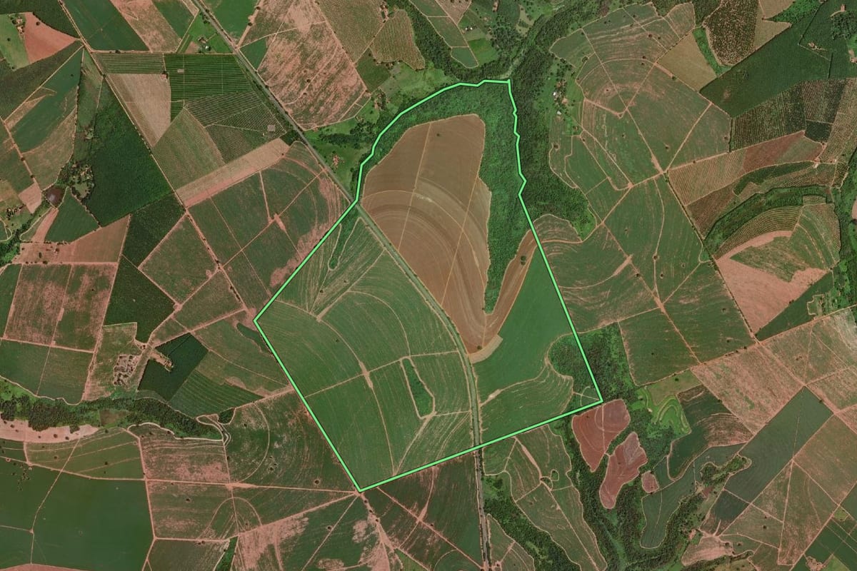 Imagem de satélite do imóvel rural em Olímpia (SP), com o contorno declarado no CAR desenhado por cima.