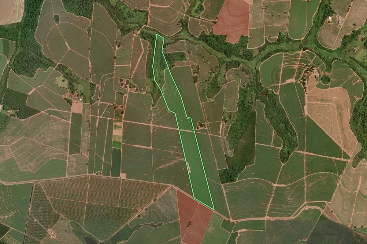 Imagem de satélite do imóvel rural em Olímpia (SP), com o contorno declarado no CAR desenhado por cima.