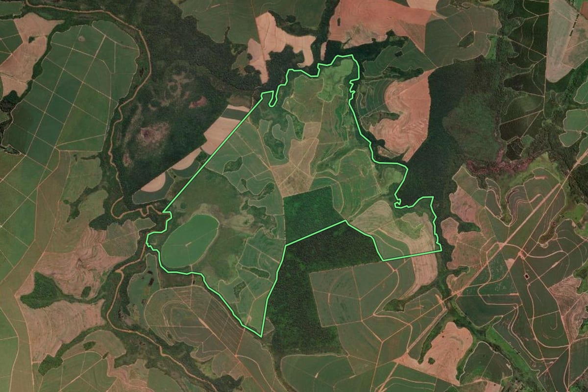 Imagem de satélite do imóvel rural em Olímpia (SP), com o contorno declarado no CAR desenhado por cima.