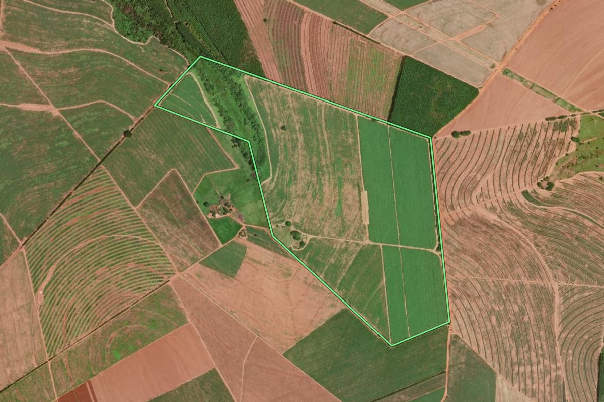 Imagem de satélite do imóvel rural em Olímpia (SP), com o contorno declarado no CAR desenhado por cima.