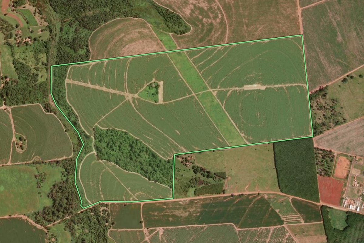 Imagem de satélite do imóvel rural em Olímpia (SP), com o contorno declarado no CAR desenhado por cima.