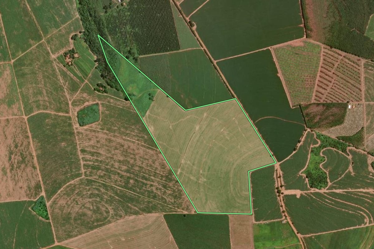 Imagem de satélite do imóvel rural em Olímpia (SP), com o contorno declarado no CAR desenhado por cima.