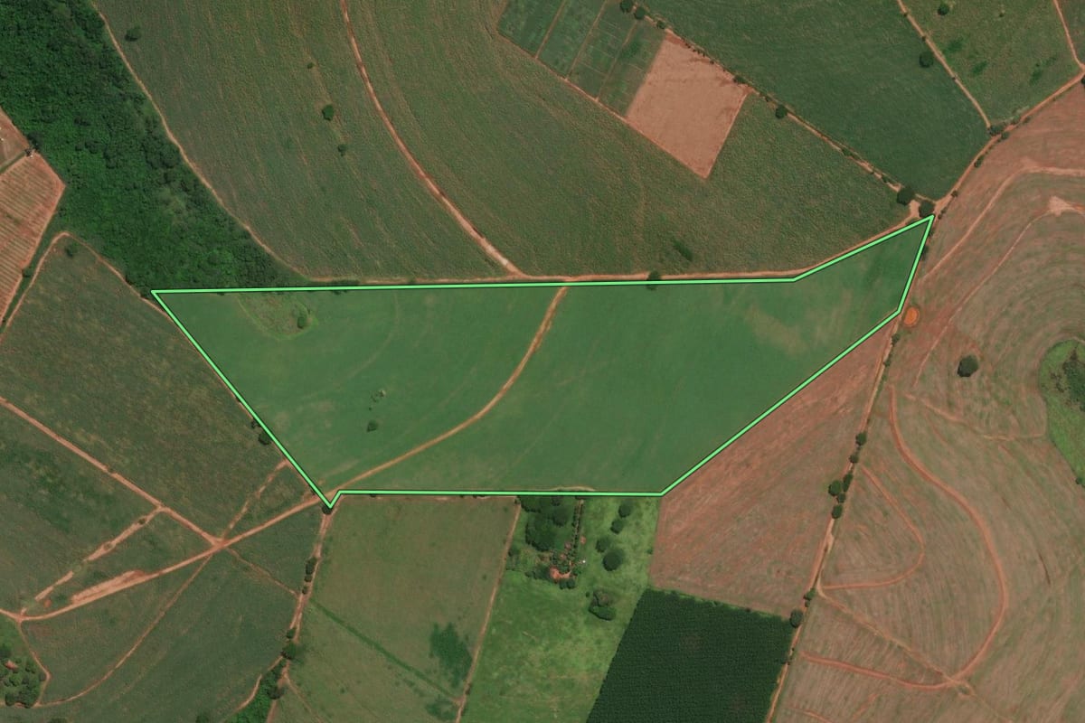 Imagem de satélite do imóvel rural em Olímpia (SP), com o contorno declarado no CAR desenhado por cima.