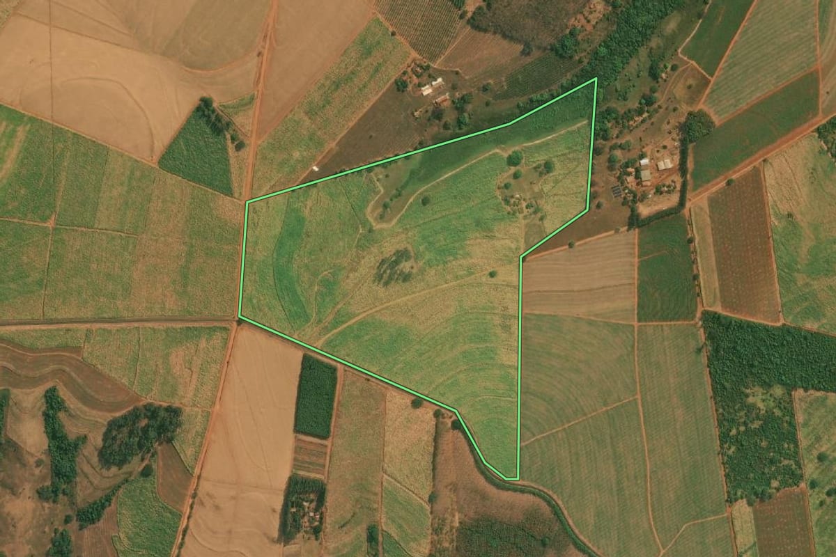 Imagem de satélite do imóvel rural em Olímpia (SP), com o contorno declarado no CAR desenhado por cima.