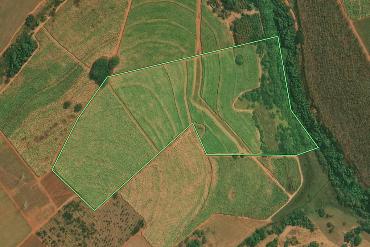 Imagem de satélite do imóvel rural em Olímpia (SP), com o contorno declarado no CAR desenhado por cima.