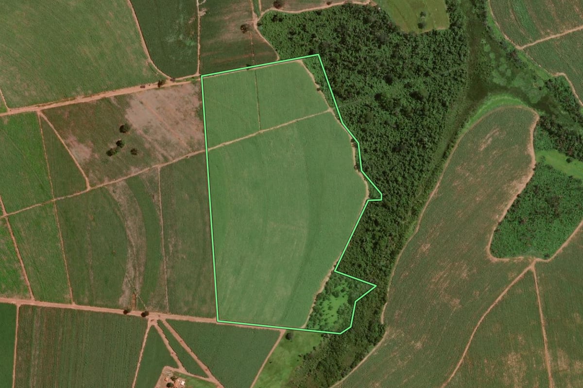 Imagem de satélite do imóvel rural em Olímpia (SP), com o contorno declarado no CAR desenhado por cima.