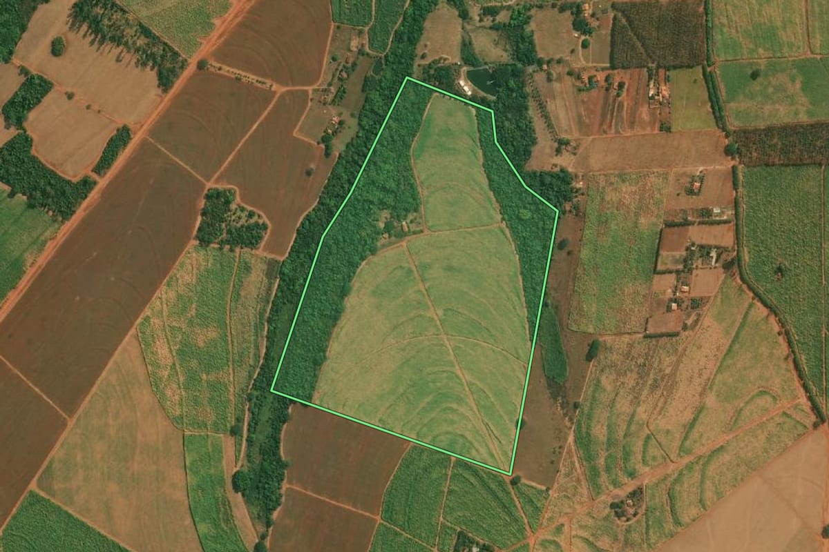 Imagem de satélite do imóvel rural em Olímpia (SP), com o contorno declarado no CAR desenhado por cima.