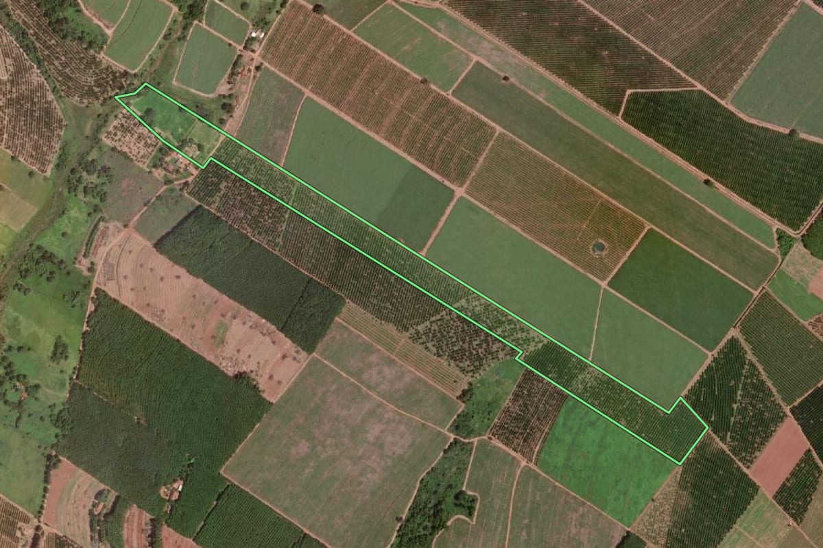 Imagem de satélite do imóvel rural em Olímpia (SP), com o contorno declarado no CAR desenhado por cima.